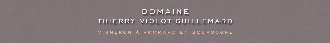 Domaine Thierry Violot-Guillemard | Vigneron à Pommard en Bourgogne